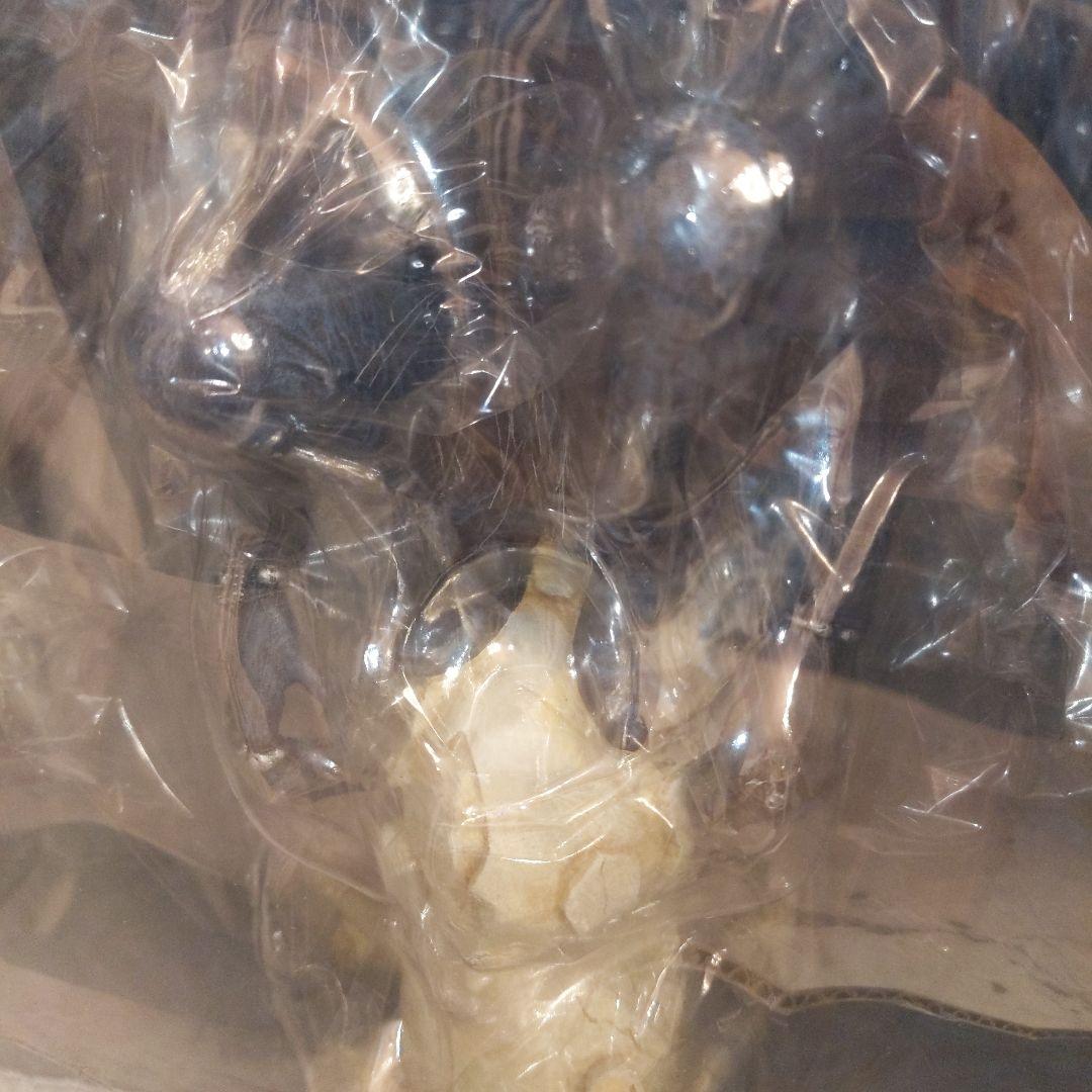 デスノート リューク フィギュア クラフトレーベル