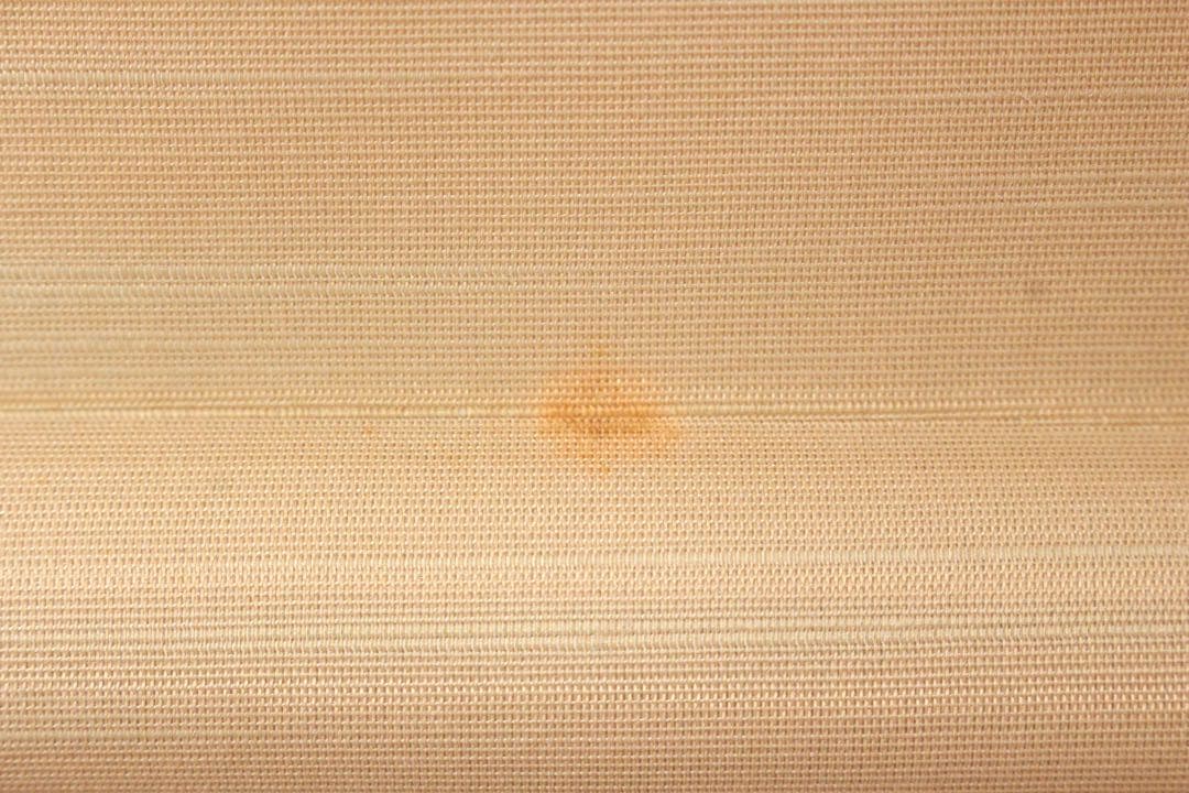 No5900 掛軸　印刷工芸　「伊藤若沖　白鶴図」　絹本　共箱/畳箱　送料無料