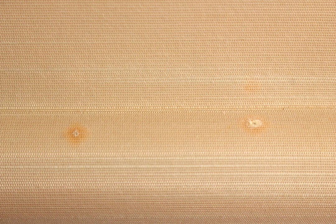 No5900 掛軸　印刷工芸　「伊藤若沖　白鶴図」　絹本　共箱/畳箱　送料無料