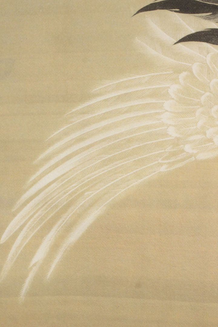 No5900 掛軸　印刷工芸　「伊藤若沖　白鶴図」　絹本　共箱/畳箱　送料無料