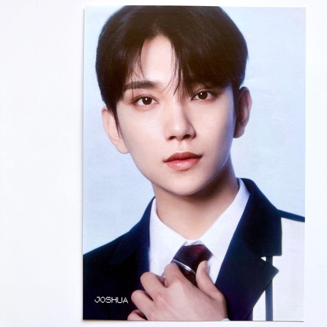 seventeen フライヤー　缶バッジ　ジョンハン　うちわ　ディノ　ジョシュア