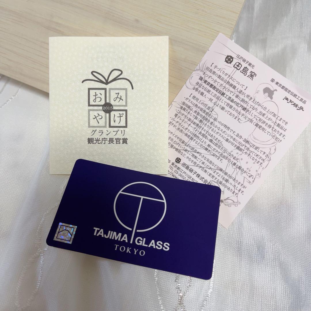 伝統工芸 田島硝子 富士山グラス タンブラー 400ml ペアグラス