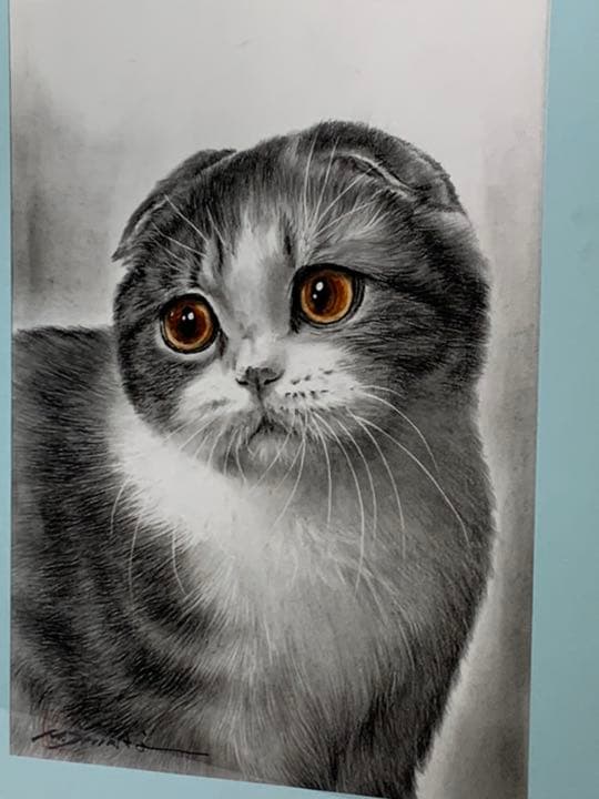 画家 白井真澄 木炭肉筆デッサン画  原画 真筆保証品！額入cat NO.29