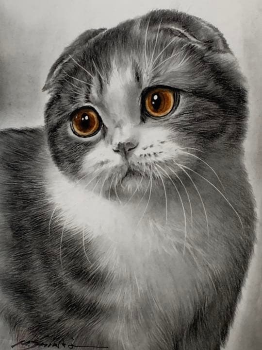 画家 白井真澄 木炭肉筆デッサン画  原画 真筆保証品！額入cat NO.29