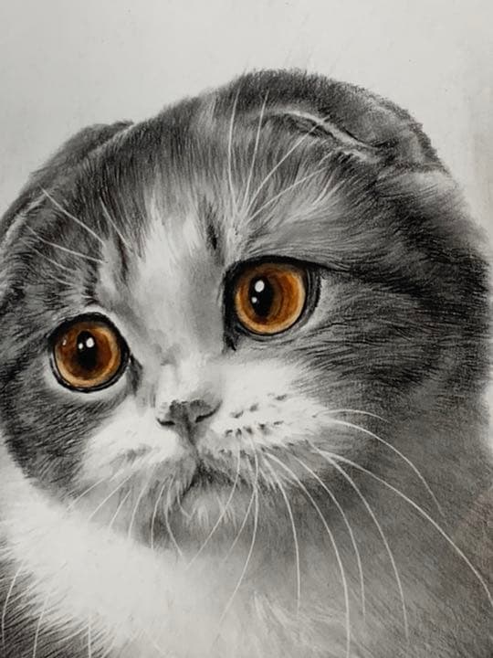 画家 白井真澄 木炭肉筆デッサン画  原画 真筆保証品！額入cat NO.29