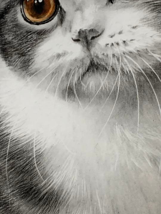 画家 白井真澄 木炭肉筆デッサン画  原画 真筆保証品！額入cat NO.29