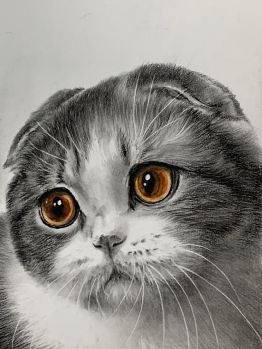 画家 白井真澄 木炭肉筆デッサン画  原画 真筆保証品！額入cat NO.29