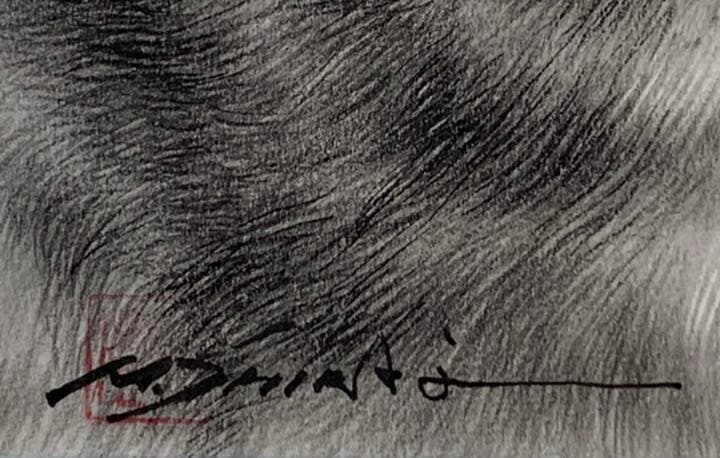 画家 白井真澄 木炭肉筆デッサン画  原画 真筆保証品！額入cat NO.29