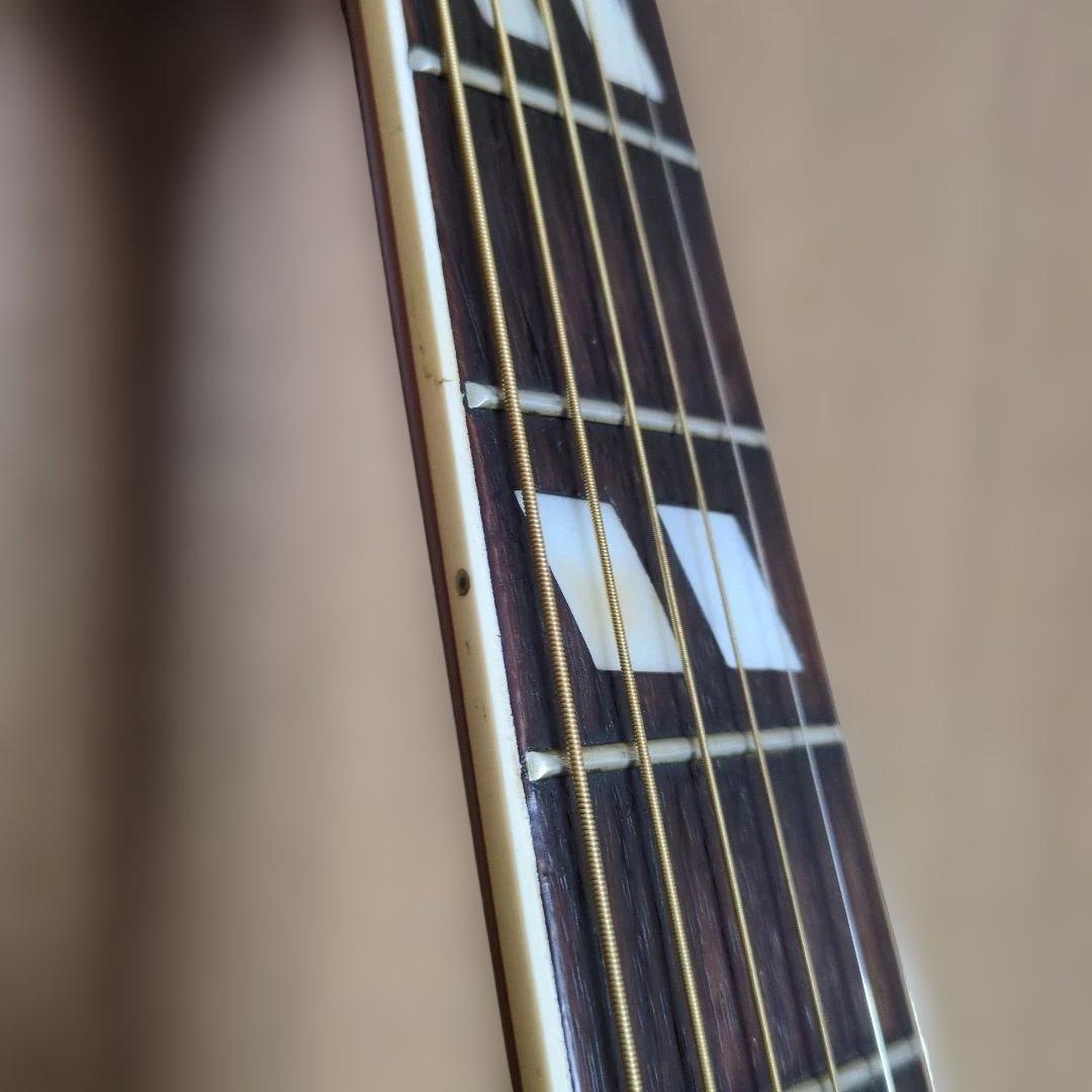 Morris WD-25 アコースティックギター