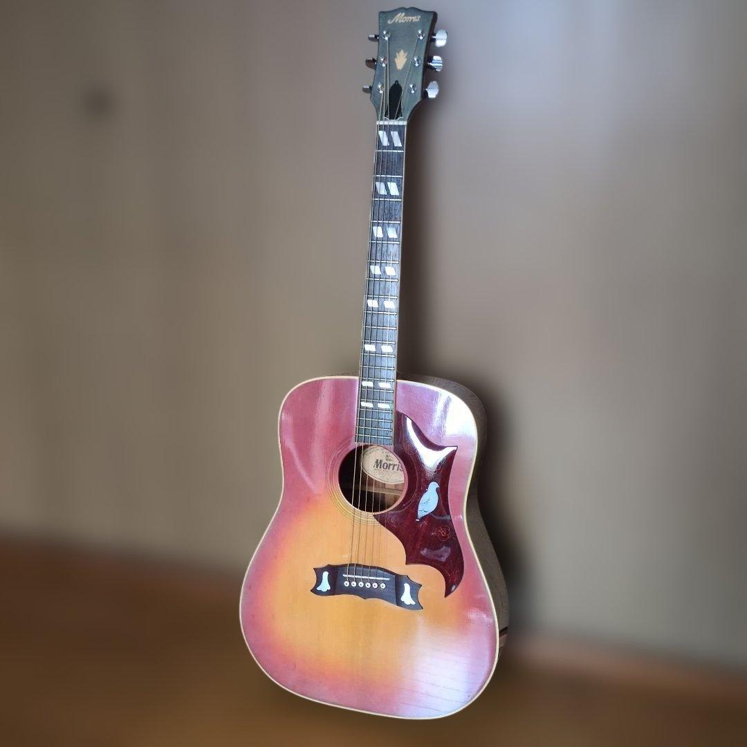 Morris WD-25 アコースティックギター
