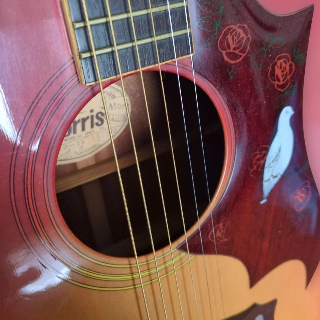 Morris WD-25 アコースティックギター