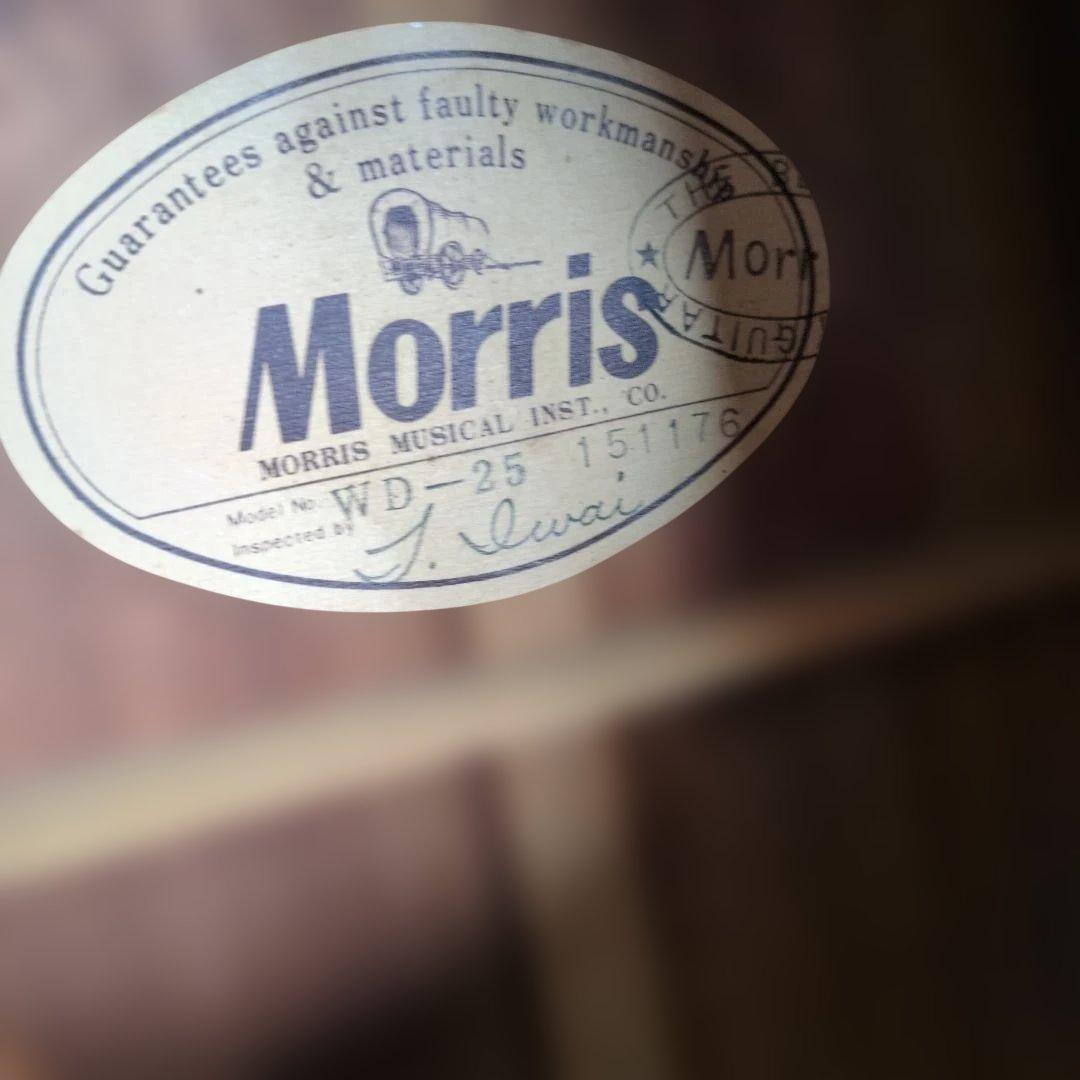 Morris WD-25 アコースティックギター