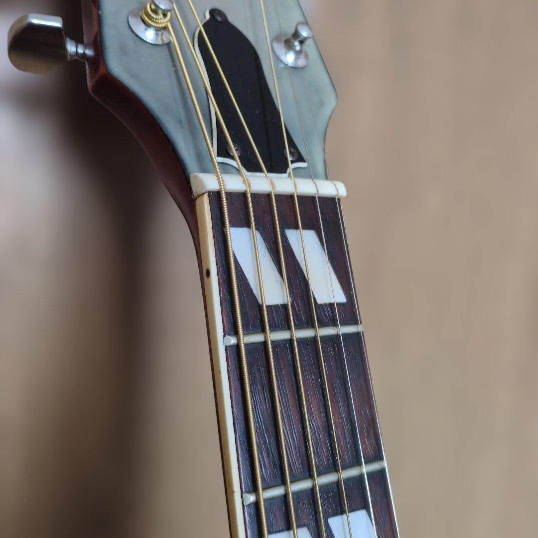 Morris WD-25 アコースティックギター