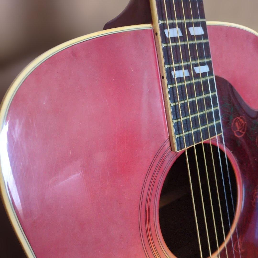 Morris WD-25 アコースティックギター