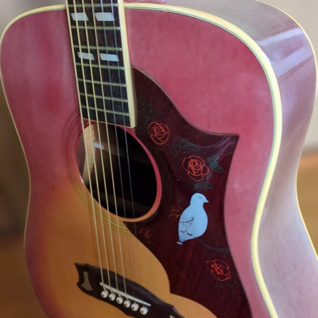 Morris WD-25 アコースティックギター