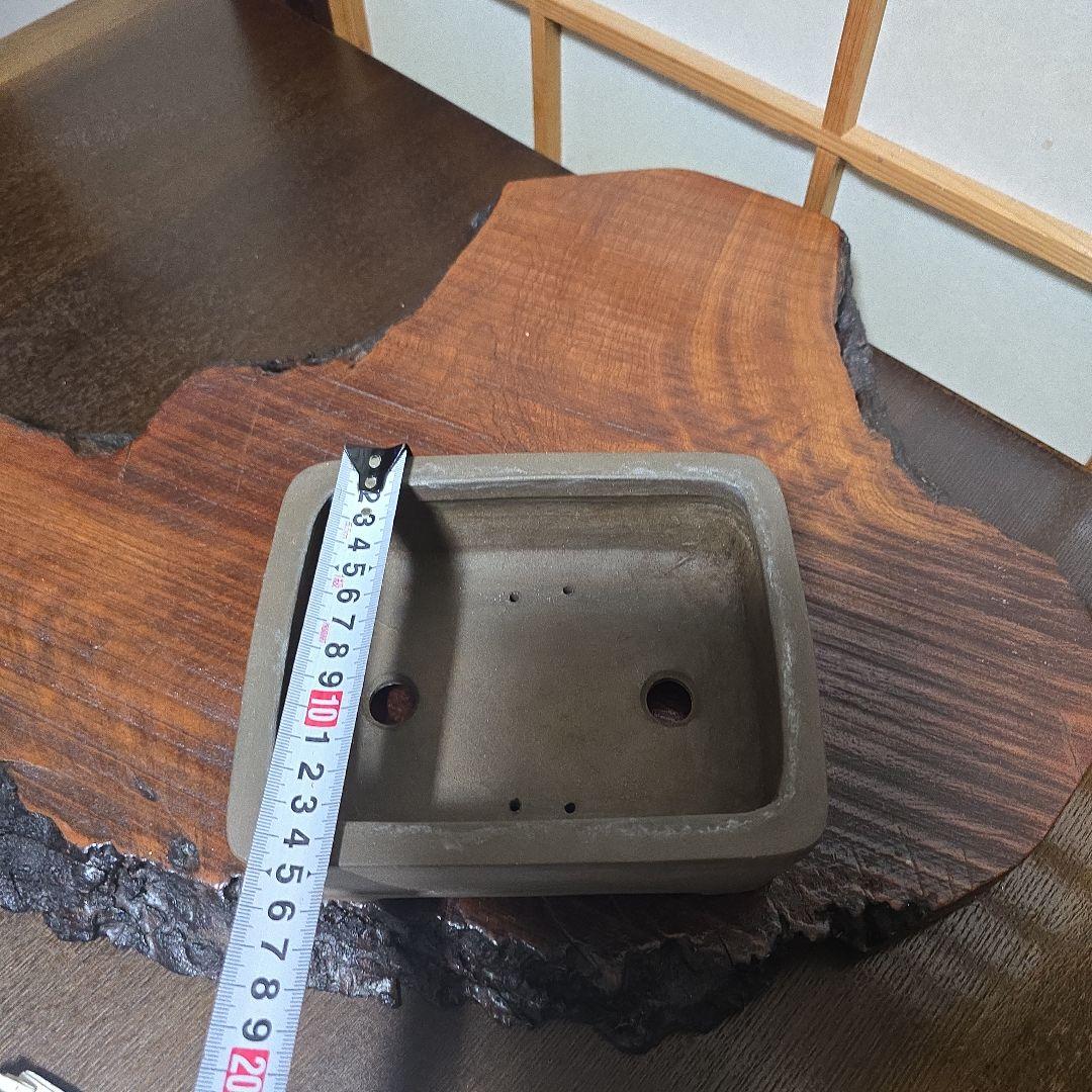 盆栽鉢 和鉢 真山造 長方形盆栽鉢