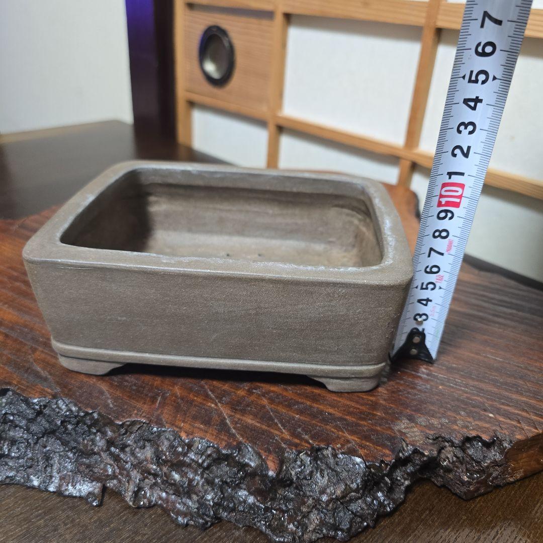 盆栽鉢 和鉢 真山造 長方形盆栽鉢