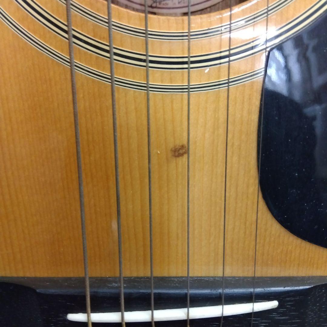 Morris アコースティックギター 6弦 ナチュラル