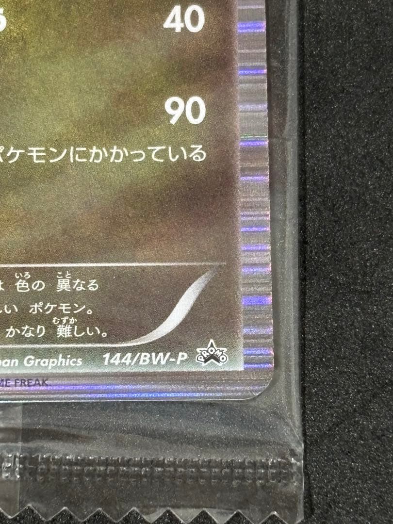 【未開封】ポケモンカード 黒いレックウザ プロモ ノブナガの野望 特典