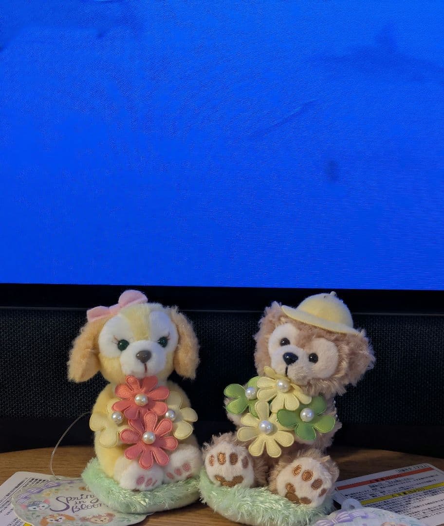 ✨ダッフィーフレンズ　✨くまちゃん お友達皆お纏め