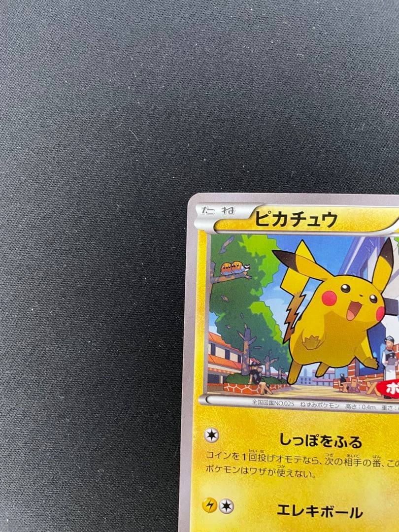 ピカチュウ PROMO ポケモンパン　XYシリーズ