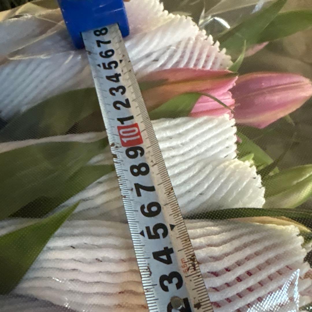 ふくろう 同梱プレミ5本 ④八重百合3〜4輪8本5輪5本シベリア 首トルコ