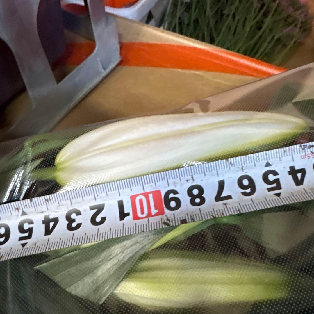 ふくろう 同梱プレミ5本 ④八重百合3〜4輪8本5輪5本シベリア 首トルコ