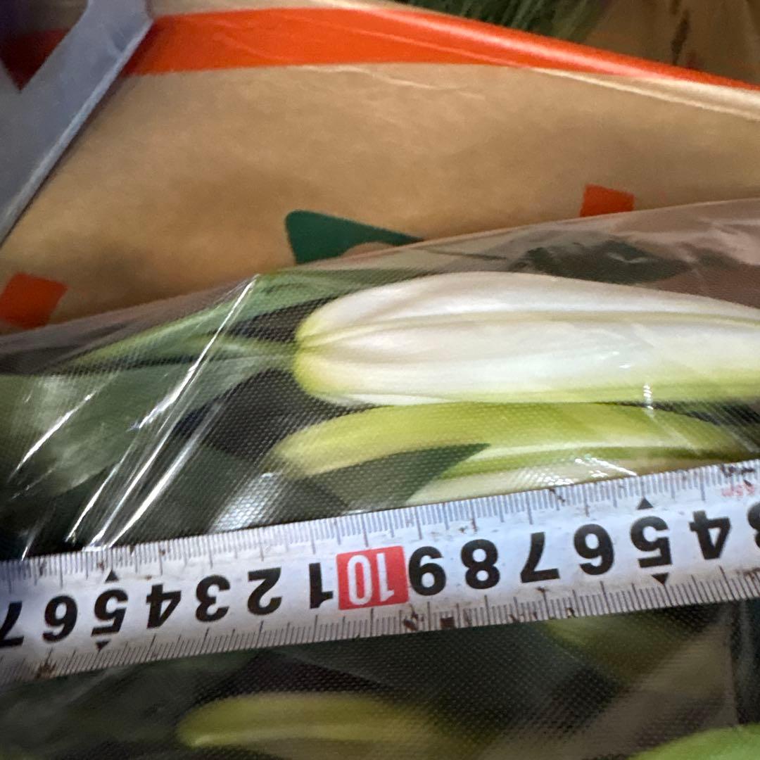 ふくろう 同梱プレミ5本 ④八重百合3〜4輪8本5輪5本シベリア 首トルコ