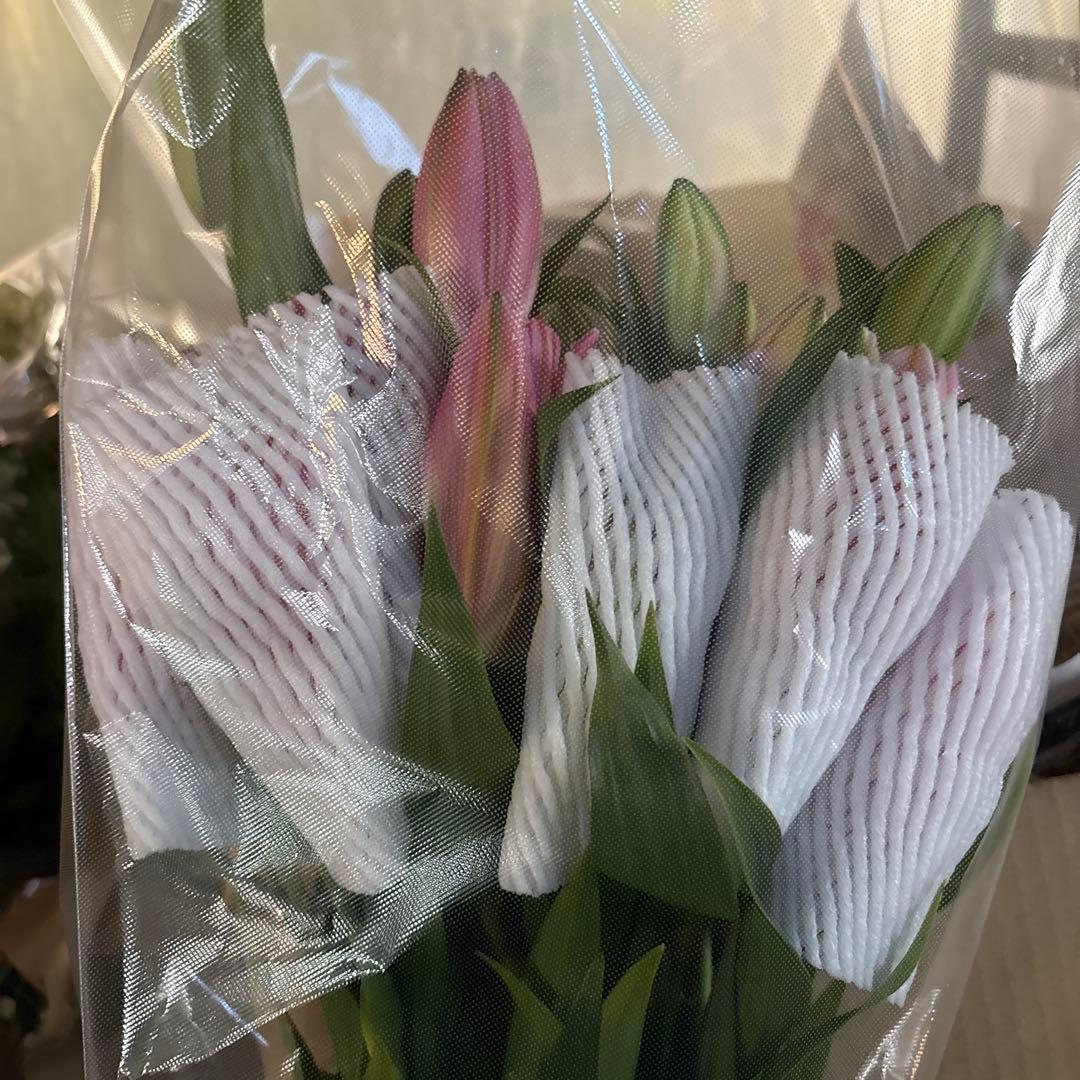 ふくろう 同梱プレミ5本 ④八重百合3〜4輪8本5輪5本シベリア 首トルコ