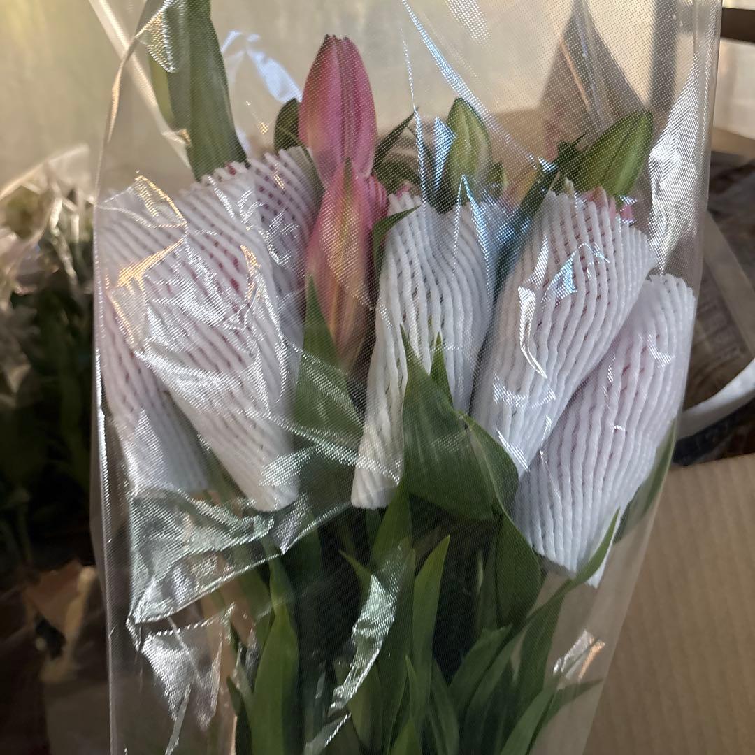 ふくろう 同梱プレミ5本 ④八重百合3〜4輪8本5輪5本シベリア 首トルコ