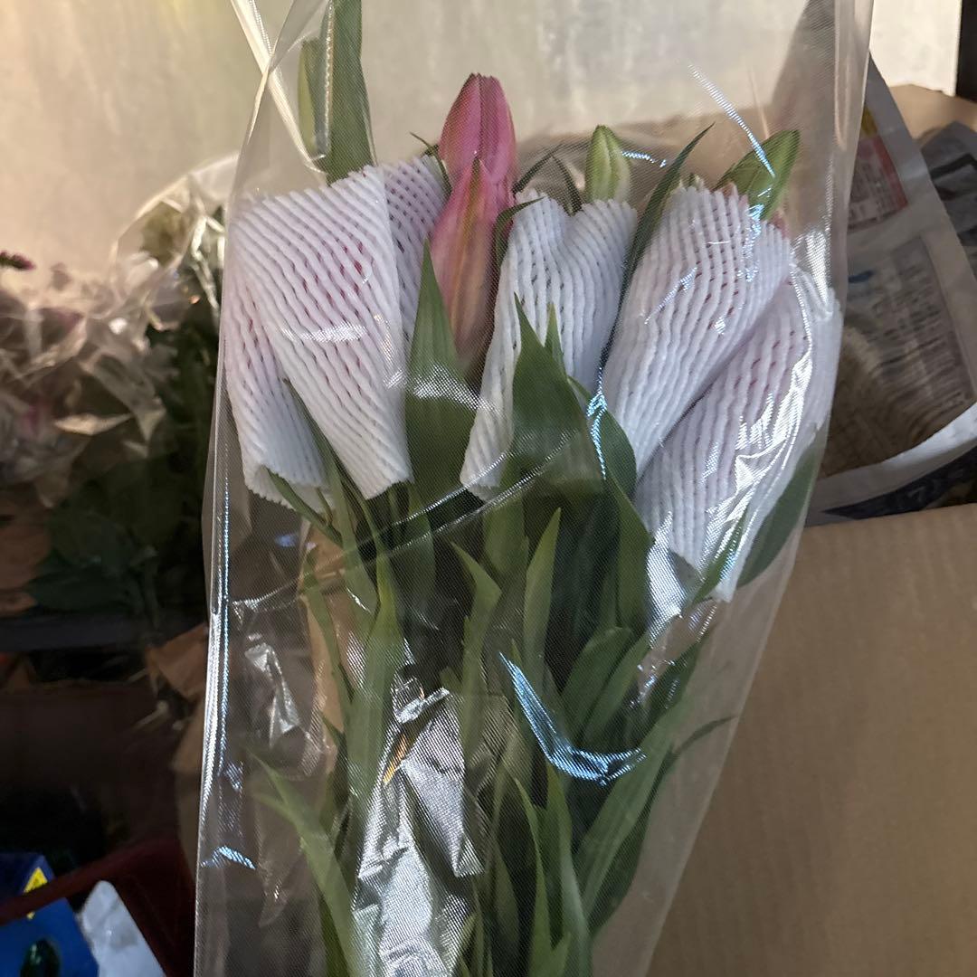 ふくろう 同梱プレミ5本 ④八重百合3〜4輪8本5輪5本シベリア 首トルコ