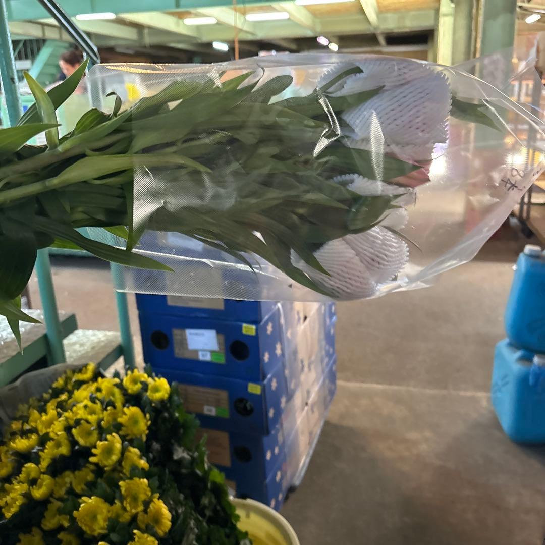 ふくろう 同梱プレミ5本 ④八重百合3〜4輪8本5輪5本シベリア 首トルコ