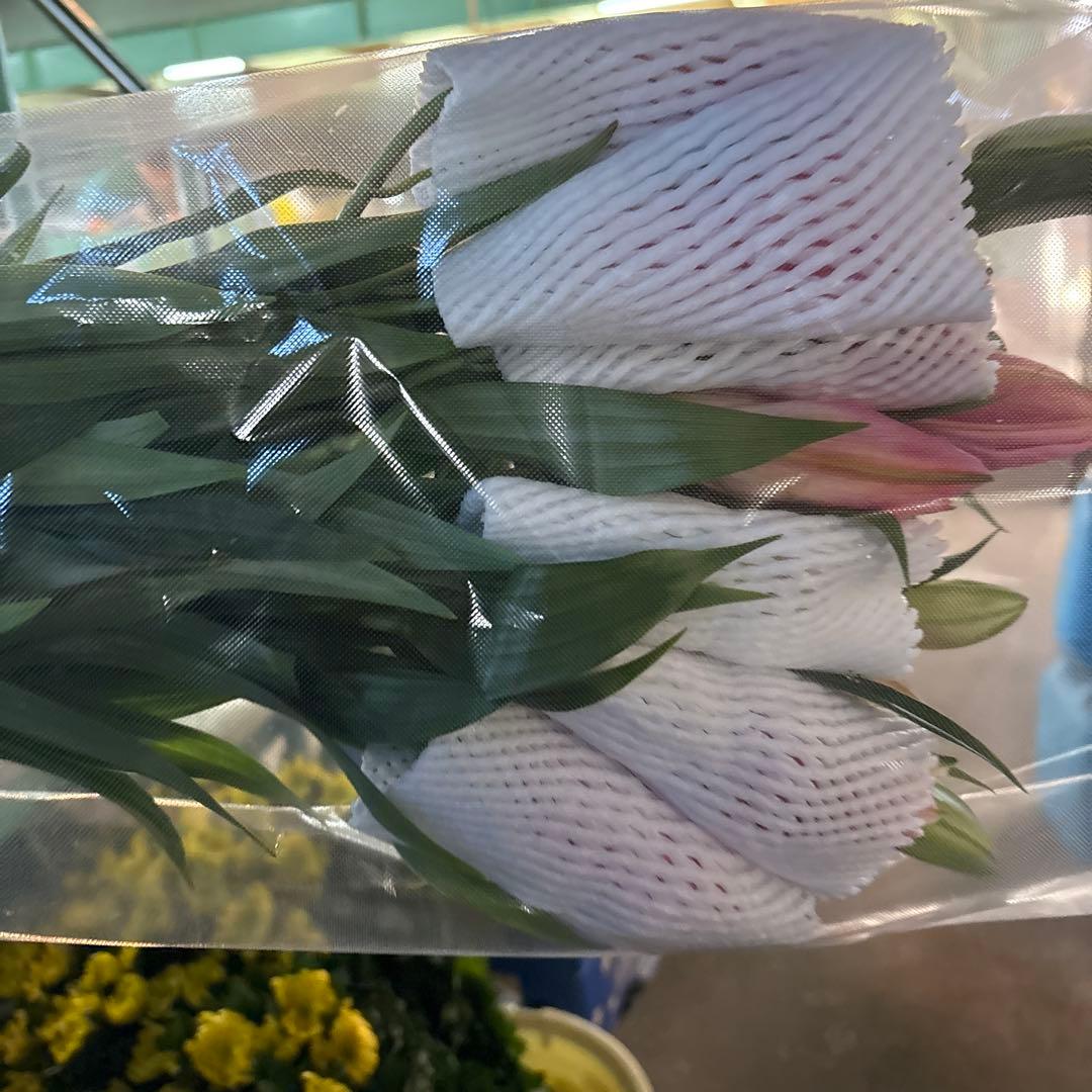 ふくろう 同梱プレミ5本 ④八重百合3〜4輪8本5輪5本シベリア 首トルコ