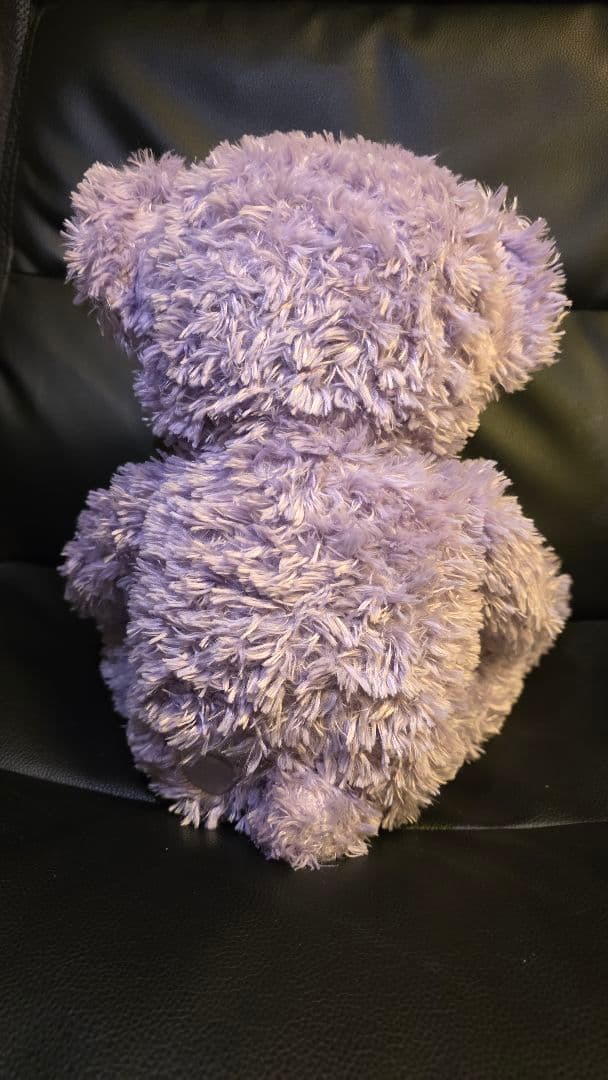 WDW ダッフィー ディズニーベア カラーダッフィー パープル