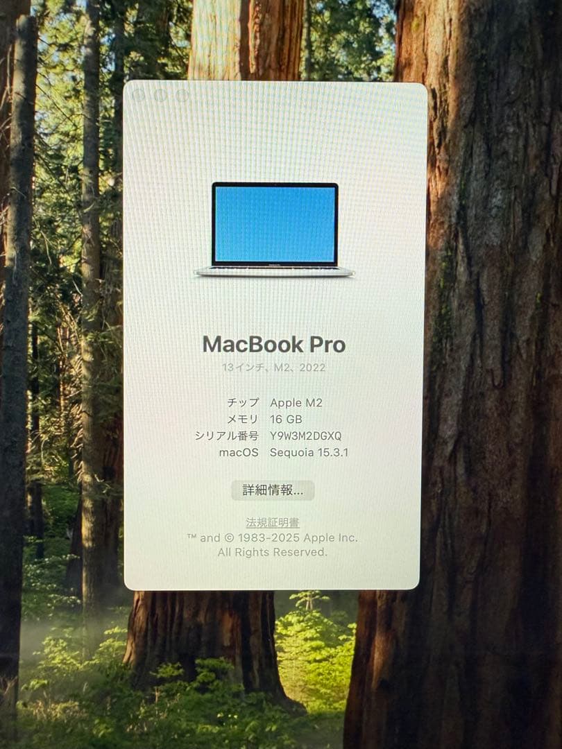 MacBook本体 MacBook Pro 13inch 2022 16GB/512GB/M2