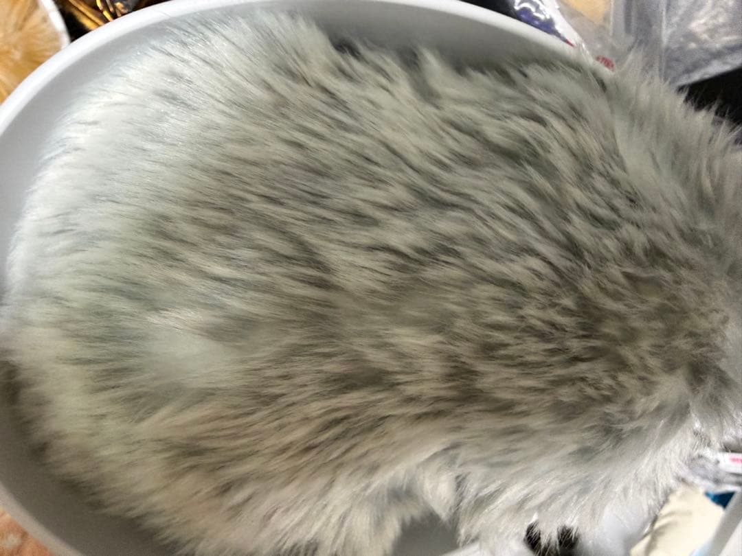 【美品】Moflin モフリンPE-M10SR AIペットシルバー