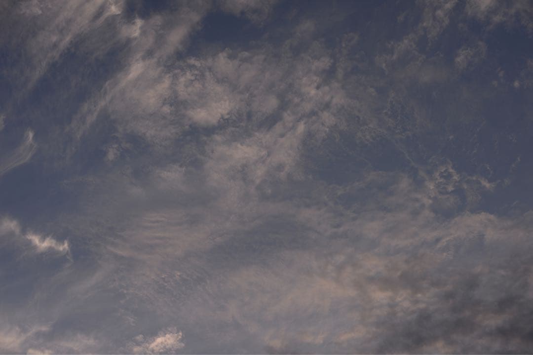 Nikon AI AF NIKKOR 50mm f/1.4D　NCフィルター付