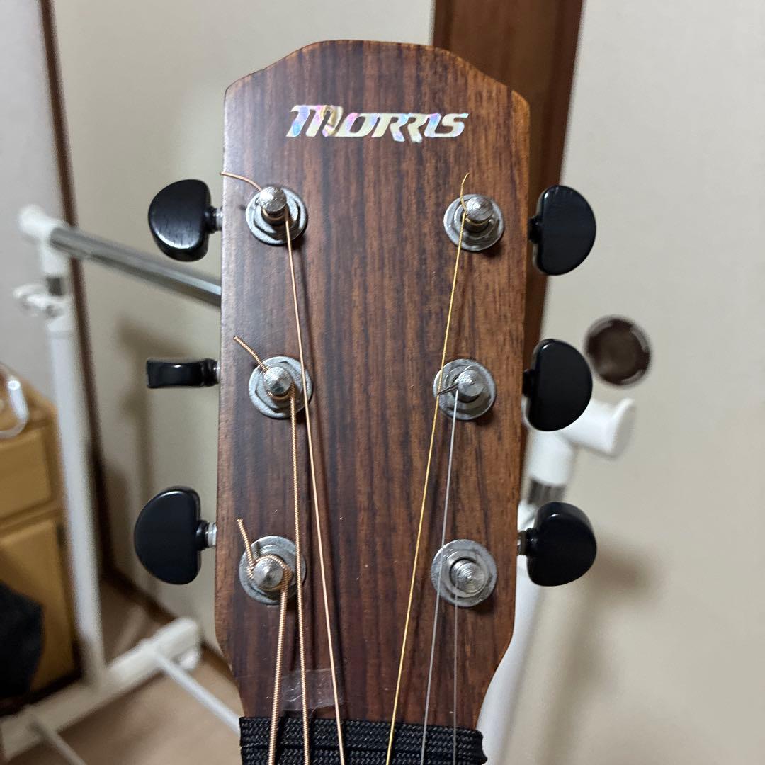 ギター Morris S-70