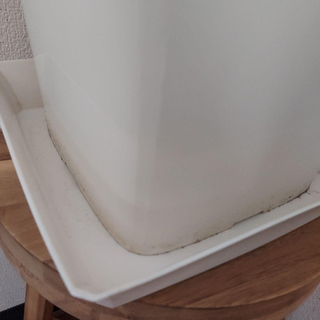 サンスベリア 中型 白い鉢