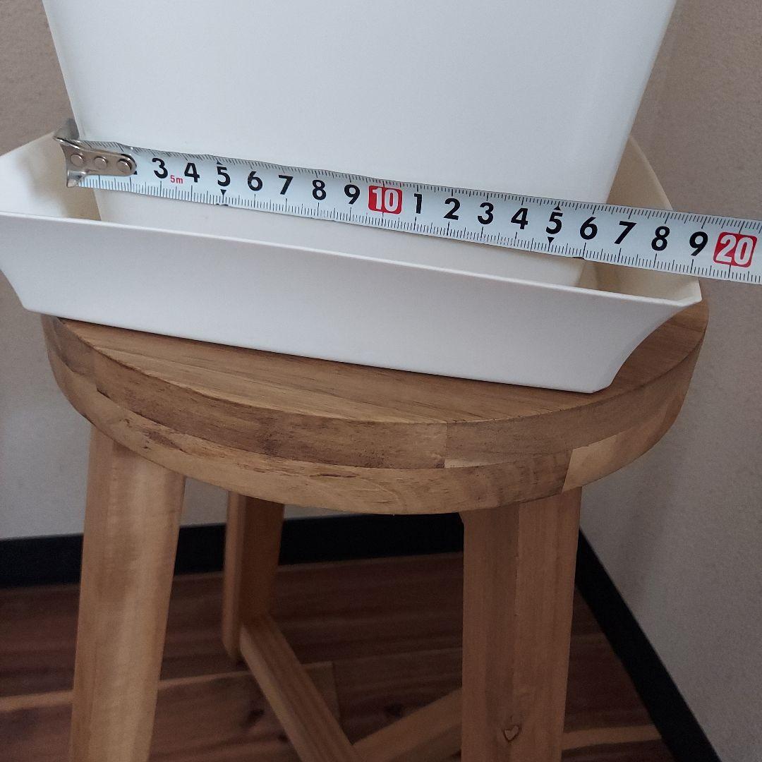 サンスベリア 中型 白い鉢