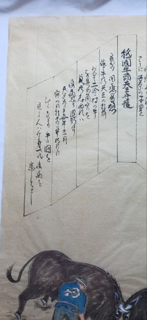 越後闘牛の緑起 、江戸の、瓦版、 美濃和紙に田中秀光画真作、送料無料