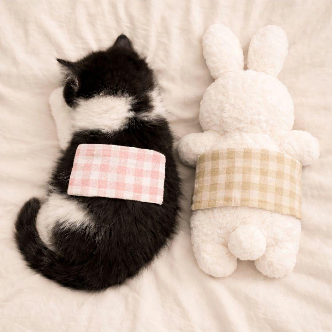 うさぎとおねんねねこちゃんパネル　ハンドメイド