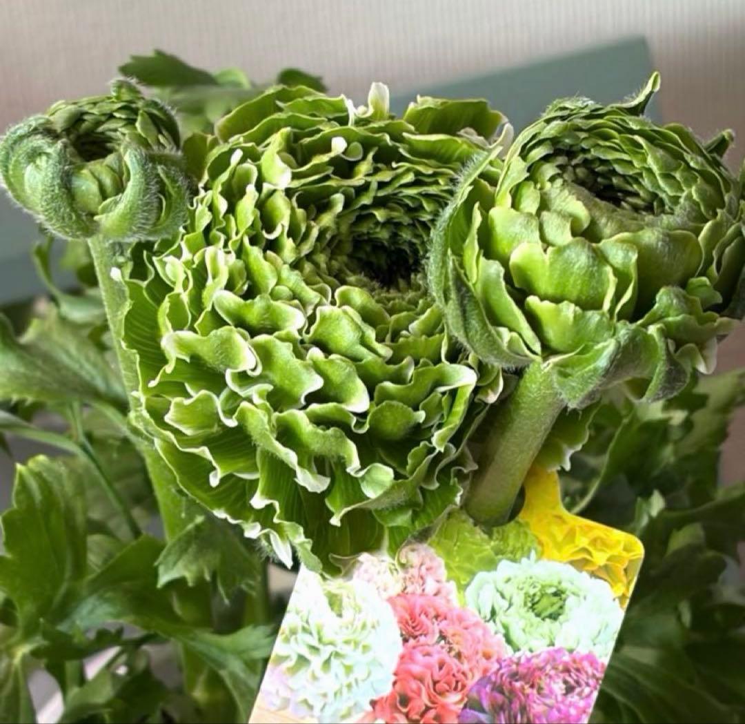 ぷらむ様　リクエスト　おまとめ2点