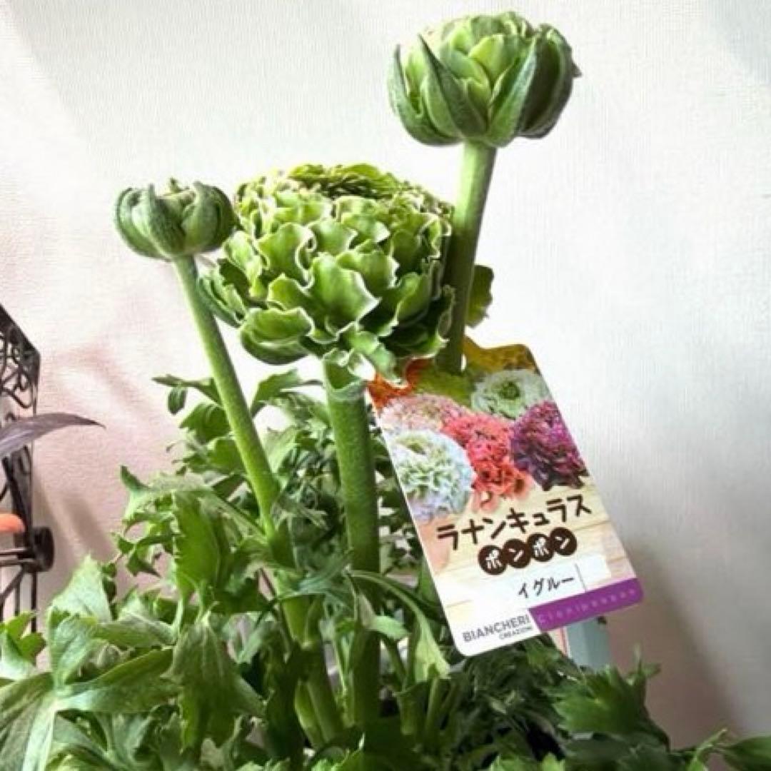 ぷらむ様　リクエスト　おまとめ2点