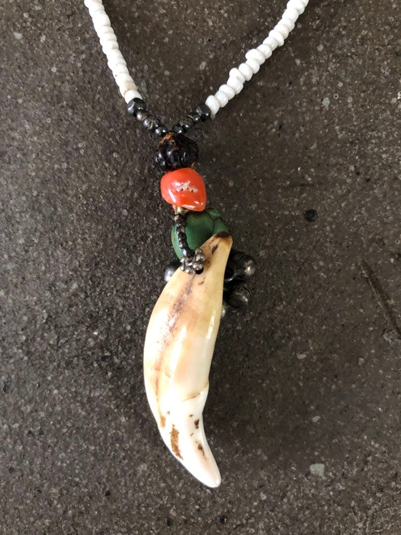 juju チベタンターコイズ+牙ネックレス