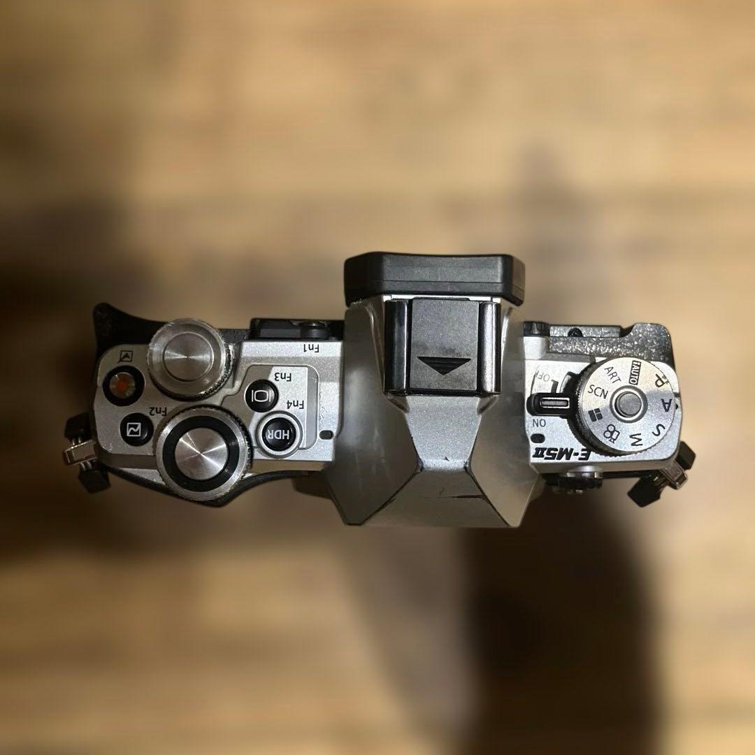 (難あり)OLYMPUS OM-D EM5 MARK2