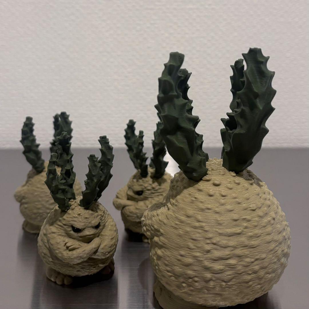 ユーフォルビア クラビゲラ S・Mサイズ