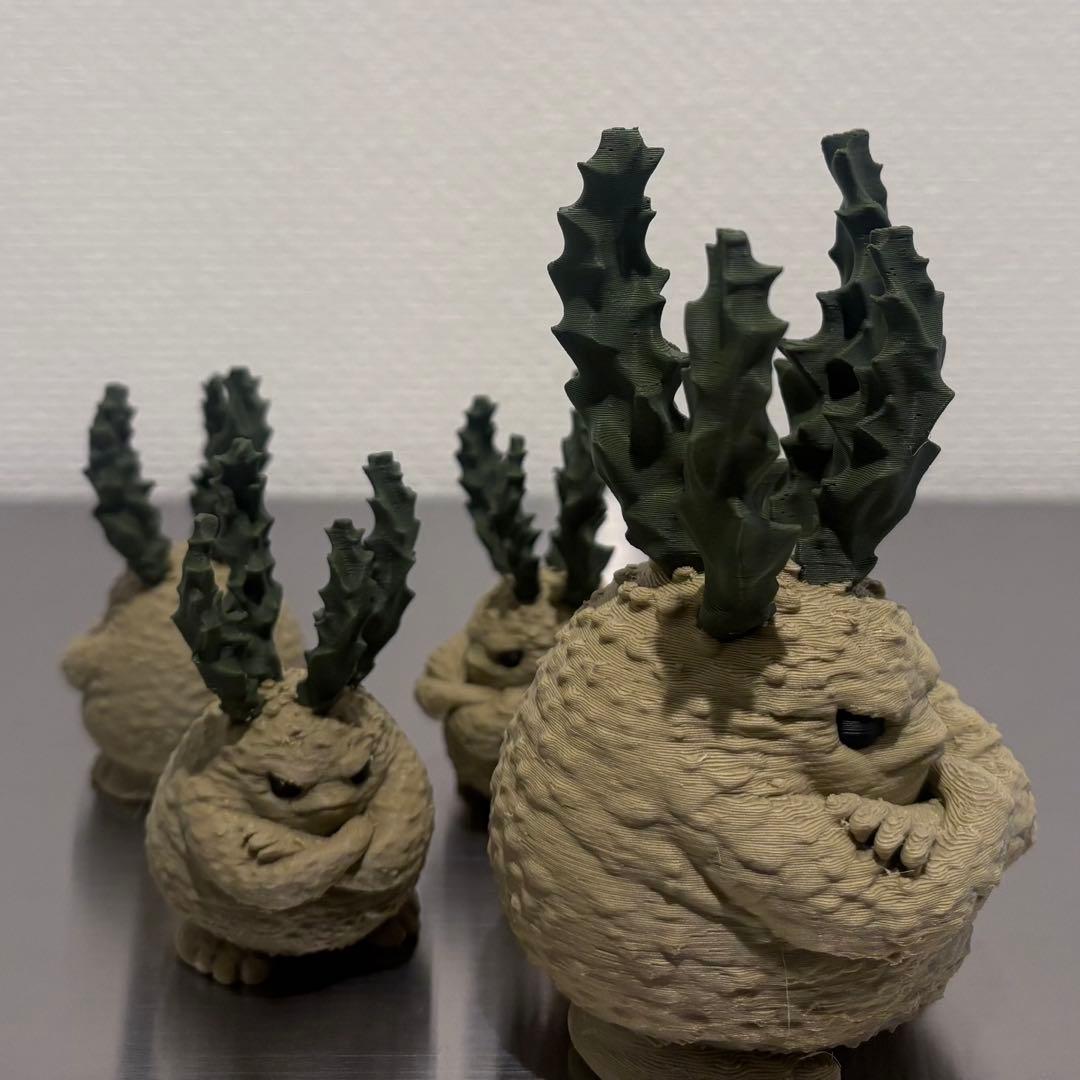 ユーフォルビア クラビゲラ S・Mサイズ