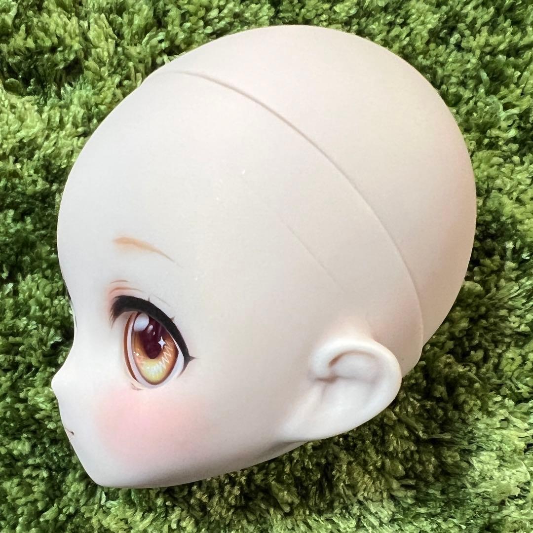 パラボックス◆姉姫ヘッド◆カスタムヘッド