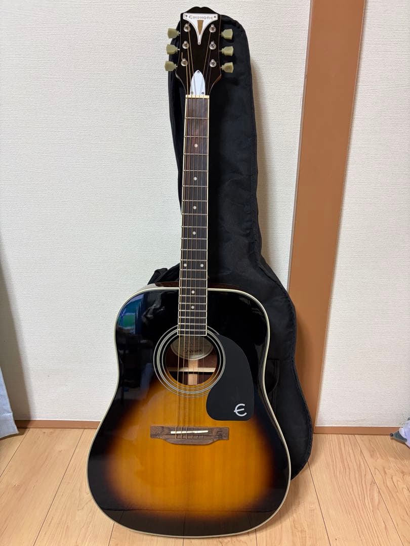 EPIPHONE PRO-1 plus vsギター